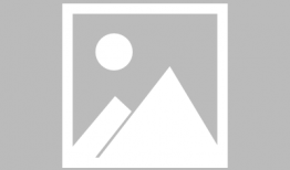 91直播怎么搜,轻松找到心仪内容